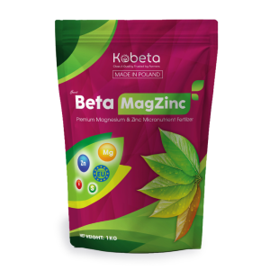 Trung Vi Lượng Magie Kẽm BETA MAGZINC Nhập Khẩu Ba Lan - Túi 1Kg