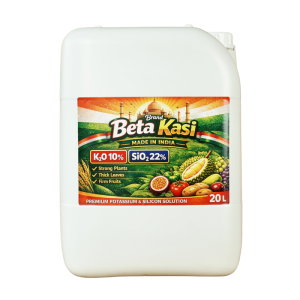 Phân Bón Lá Trung Lượng KALI SILIC Nhập Khẩu India - Can 20L