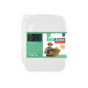 Phân Bón Lá Sinh Học Amino - BETA AMINO POTASSIUM Nhập Khẩu Châu Âu